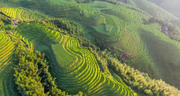 guilin