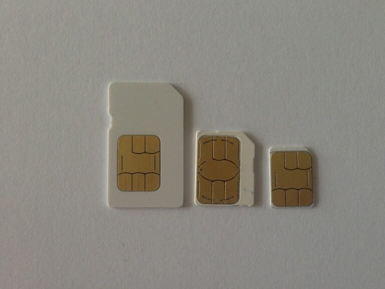 SIM card formats prepared for an international trip
