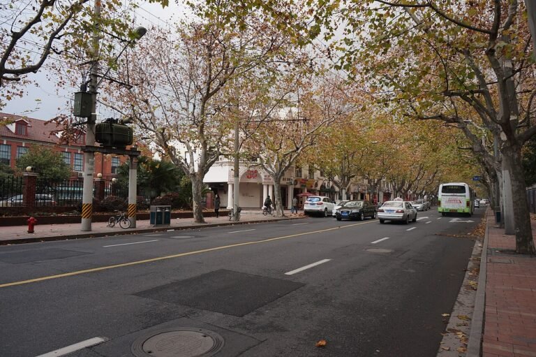 A leafy street in Shanghai’s former French Concession