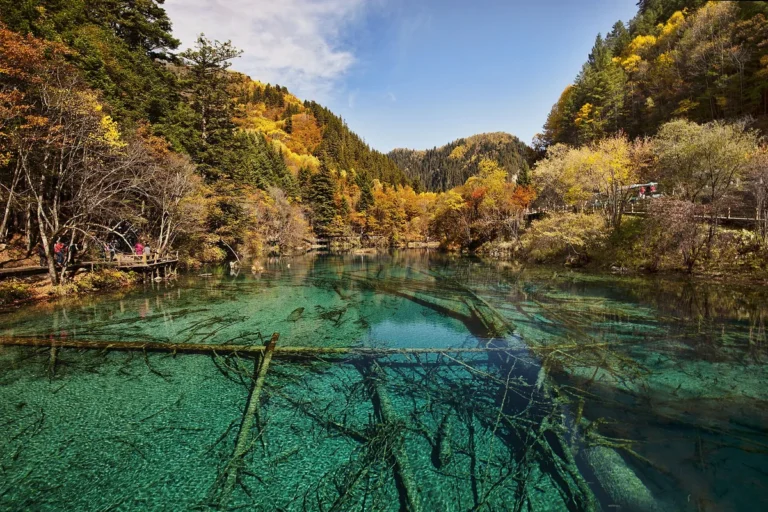 ricnext jiuzhaigou feature
