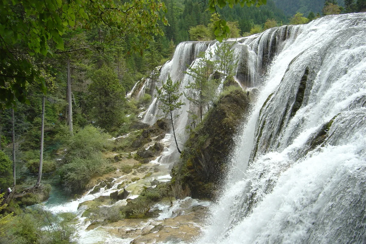 Pearl Shoal Waterfall flowing through forest in Jiuzhaigou