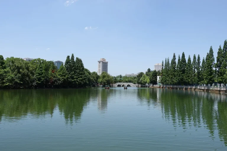 ricnext kunming feature