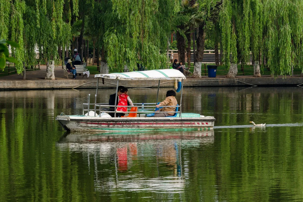 Visitor boat and willow trees in Kunming Green Lake Park
