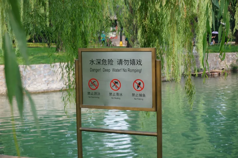 ricnext mandarin phrases for travelers feature