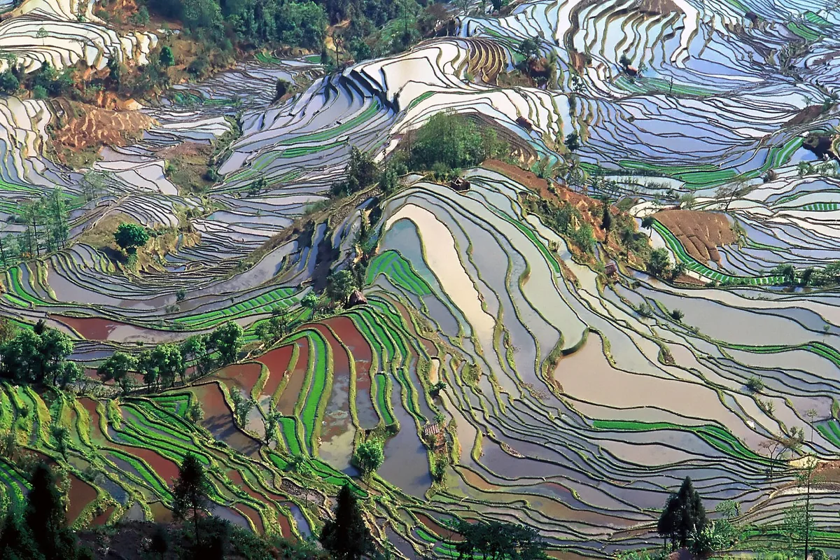 Honghe Hani rice terraces in Yunnan
