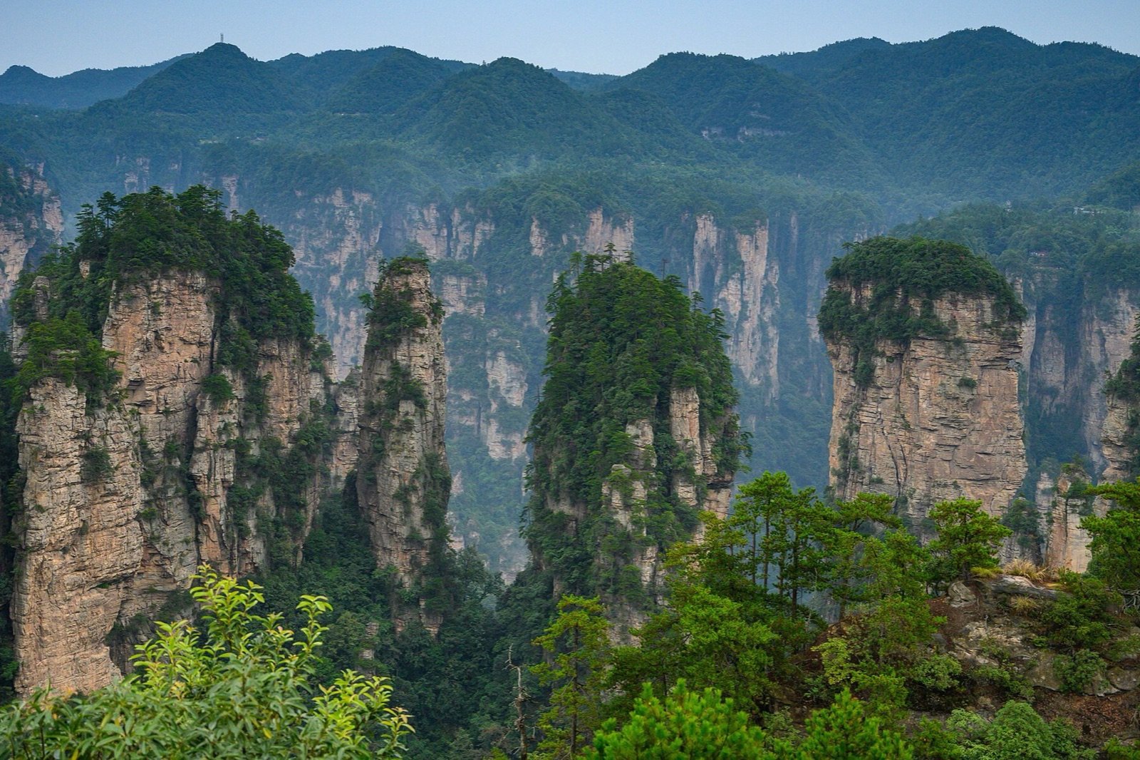 Quartz sandstone pillars rising above forest in Zhangjiajie, Hunan.