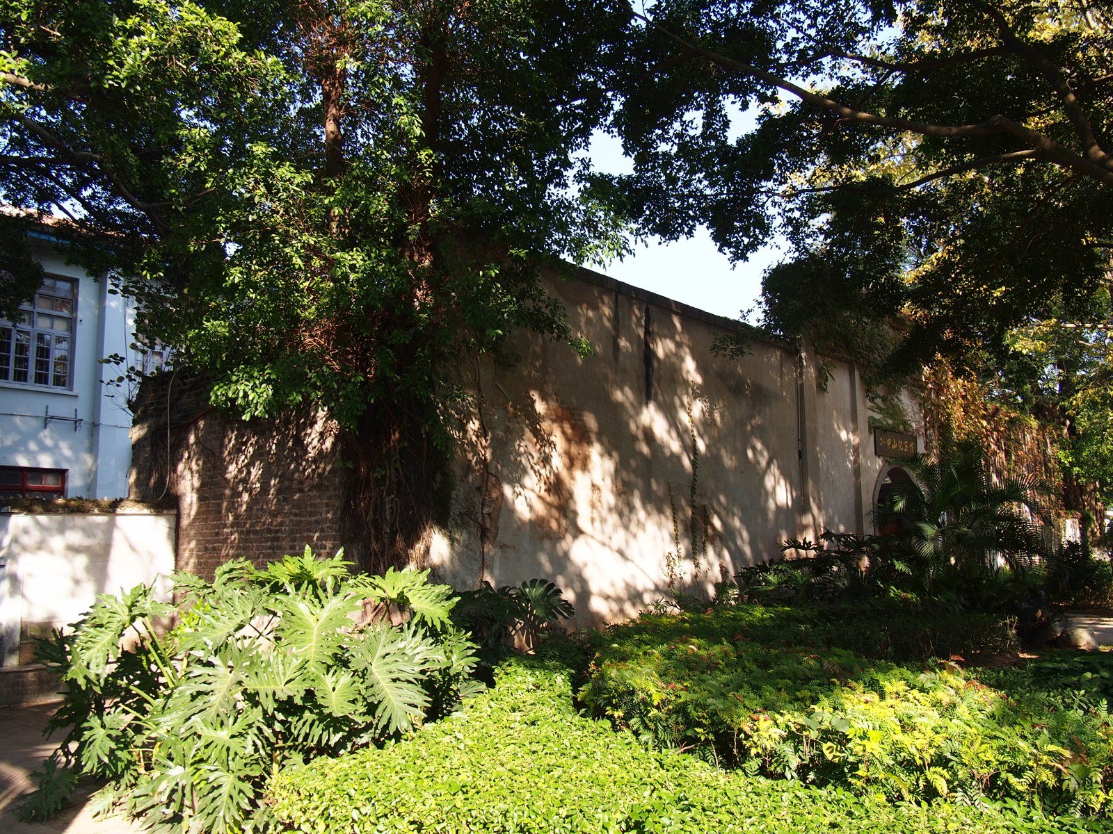 Wall and trees at a historic government compound in central Zhangzhou